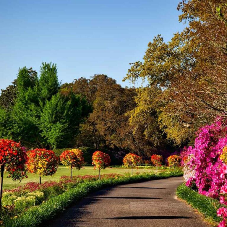 RED PPC - landscaping-2